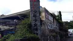 ちょっと不思議な「珍博物館」の世界―知識と愛情とドラマが詰まったユニークなミュージアムへ行ってみよう|KINTO