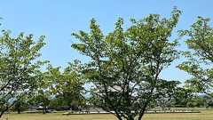 めんどくさがりや必見! 意外と簡単にやる気を出す秘訣 - 1日1分 ポジティブシンキング