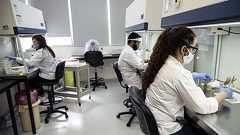 科学分野の男女格差、富裕国で顕著 ユネスコ報告書