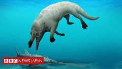 4本足の新種クジラの化石、エジプトで発見 - BBCニュース
