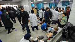 「絶滅の明確な意図認められず」 ドイツ、アムネスティ報告書を否定