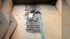 【虫注意】シロアリの被害に遭った人が「なぜ被害に遭ったか」「どうしたら防げるか」分析した話が参考になる