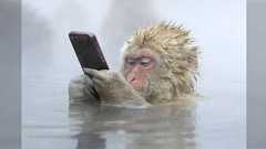 「なろう系はラノベじゃない」について。あんだけ「ラノベなんて読んでないで、もっとちゃんとした小説を読みなさい」と言われてきた人たちが、大人になって、なろうを同じように蔑視したり見下すのはどうなの?という話