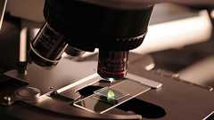 【名言・格言解説】「見ることは知ることだ」 by ファーブルの深い意味と得られる教訓