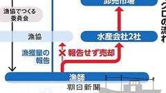 破られた漁獲量、マグロの「大間」でも 流通不透明「各地で横行か」:朝日新聞デジタル