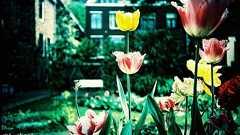 人は無条件で生活費をもらえるとどうなるのか?オランダでベーシックインカム実験へ