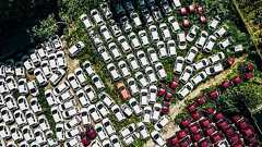 中国にEV墓場、テスラ株は暴落…「やっぱりトヨタが正しかった!」と浮かれる人が見落とす死角