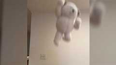 ぬいぐるみを投げて撮影する練習したら躍動感が溢れるのでコツを求めたらガチアドバイス続々 一週間での上達っぷりに驚き