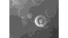 微細な泡が重力により沈む様子を顕微鏡で観測 九州工業大など | Science Portal - 科学技術の最新情報サイト「サイエンスポータル」