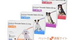 日本アニメ(ーター)見本市 イブセキヨルニ