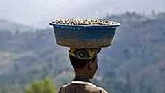 “適正価格”は勝ち取るもの