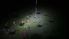 ゴルフ場のカップにセメント 過剰な水使用に環境団体が抗議 スペイン