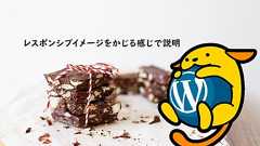WordPressも対応してるレスポンシブイメージをかじる感じで説明