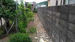 扉を開けると、目の前にヒグマ 目撃者が語る、惨劇の一部始終