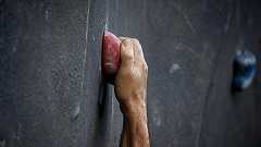 新人を育てる時に「自主性」を考慮するのは、百害あって一利なし。