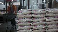 石破首相、コメは5キロ3000円台にならなければいけない