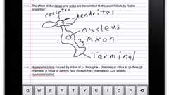 記者、学生に最適iPadアプリ=ノートと録音が同期するAudioNote【湯川】 | TechWave(テックウェーブ)