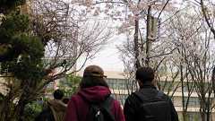 韓国、過去最高の失業率 公務員浪人「心は真っ黒」:朝日新聞デジタル