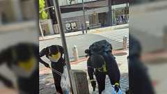 渋谷でゴミ拾いボランティアをしていたら『何の役にも立たないし無駄な活動してるね』という辛辣な言葉をもらったが何もしないよりよっぽどマシではないか