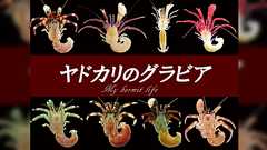 「海の生物」「エッチなこと」「本」が好きだけど就職どうするかなぁ…→結果こうなった「け、けしからん…!」