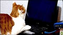 パソコンが壊れてしまってもいつもの環境ですぐ仕事を続行できるように備えるためP2V・V2Pを駆使してみた