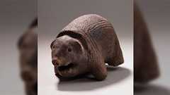 「なんで日本神話ってクマ出てこないの?」言われてみると他の動物より存在感がないような…生息域のせい?年代のせい?