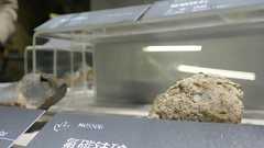 China OKs several Japan-bound rare earth exports under tightened controls