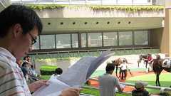 福島競馬場で快適競馬観戦! - ポンパドール・パラソル:野望編