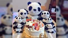 パンダさんがゴロゴロ…のケーキが激かわすぎ!「お願いした数だけパンダ乗せてくれる」最高なので見てほしい