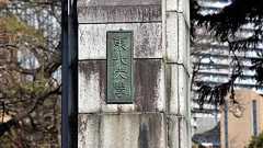 東北大、「名ばかりテニュアトラック」への言い分