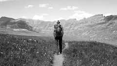 Storing Sessions in a Database, by Chris Shiflett