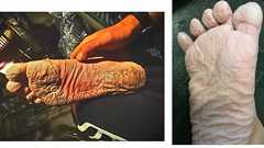 「靴の中はずっとぐちゃぐちゃ」能登半島地震で災害派遣に向かう自衛隊員が持参する装備品のモロさ | FRIDAYデジタル