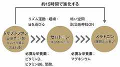 起床後1時間以内にこれを食べると体内時計が整う…コンビニで簡単に手に入って睡眠に効く「おにぎりの具」 朝から「スムージーだけ」「ヨーグルトだけ」は絶対NG