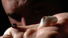 眼球に埋め込まれたカメラで見た物すべてを記録し映画にするプロジェクト