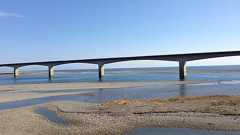 新居地区観光交流施設「南風」への移転についてご報告 : じゃぱかる日和