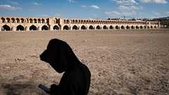 イラン首都で水が完全に枯渇する恐怖 衛星写真が捉えた壊滅的状況