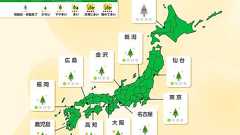 花粉情報 明日3日と明後日4日は小休憩 今週後半は再びスギ花粉が大量飛散(気象予報士 牧 良幸)