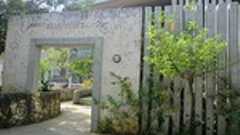 インコのひなが教えてくれたこと