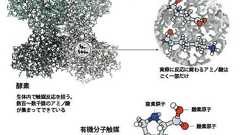 2021年ノーベル化学賞:不斉有機触媒の発展に貢献した独と米の2氏に|日経サイエンス