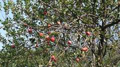 一般人の世界観に影響を与えられる物理の話 : 哲学ニュースnwk