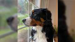 米国の医療システムの罠「歯の治療を受け病院で241ドル支払う→あとで保険会社から137ドルの請求書が来たがこれは支払ってはいけない」