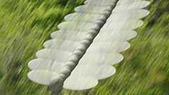 スカイフィッシュの調査 | ASIOS