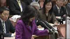 社会保障と税 外国人生活保護 参議院予算委員会 片山さつき議員(自) ① H24 3.16