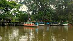 ♪日本人に一番有名なシャーマン スィピーノ : ♪Bacchusを捜して 〜世界一周跡〜