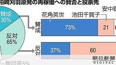 花角氏、再稼働反対票も取り込む 新潟知事選、出口分析:朝日新聞デジタル