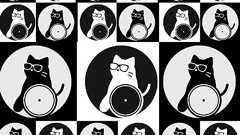 小保方晴子さんについて:話題にすることをやめよう : みわよしこのなんでもブログ