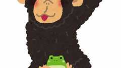 【動画】チンパンジーがカエルを使い自慰行為することが発覚し衝撃 | ゴゴ通信