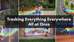 Tracking Everything Everywhere All at Once