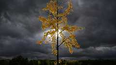 Autumn around the world 2013