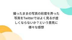 撮ったままの写真の彩度を弄った写真をTwitterではよく見るが虚しくならないか?という意見に様々な感想 - Togetter